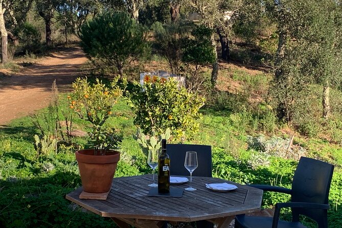Walk in the Hills with Goat Herder-Local Honey, Wine and Cheese Tasting - The Algarve Hills Walk: What the Goat Herder Teaches You