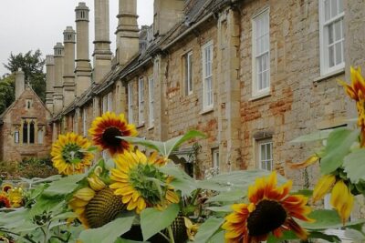 Wells, Cheddar Cheese and Cheddar Gorge - Private Day Trip from Bath - Wells Cathedral: the clock that still runs, plus the little details that make it click