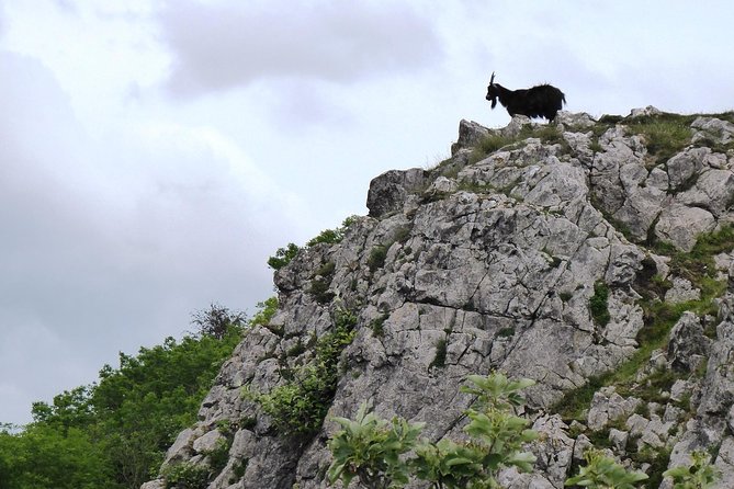 Wells, Cheddar Cheese and Cheddar Gorge - Private Day Trip from Bath - The countryside drive to Cheddar: a classic Somerset rhythm