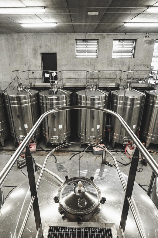 Wine and Cheese experience - Key points to know before you go