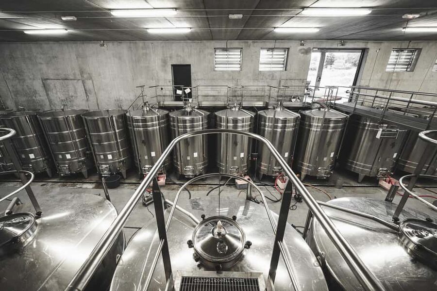 Wine and Cheese experience - Arriving in the Tasting Cellar and Getting Oriented