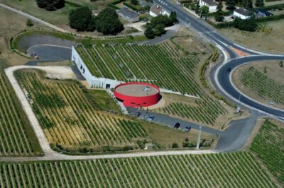 Wine and Cheese experience - What Exactly You’ll Taste: 8 Chinon Wines in One Hour