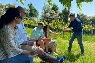 Wine & Cheese in the Somerset Valleys - with Michelin-star lunch! - The Pony in Chew Valley: Michelin-Star Lunch Plus Garden Tour