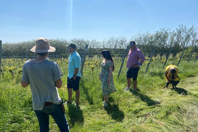 Wine & Cheese in the Somerset Valleys - with Michelin-star lunch! - Price Check: Is $212.55 a Good Deal?