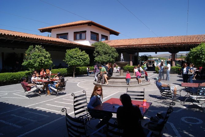 Wine Route tour starting from Querétaro - Price and timing: what $152.43 buys you on this Querétaro wine route