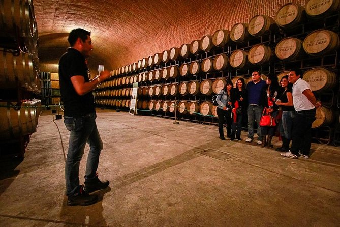 Wine Route tour starting from Querétaro - Tequisquiapan Magical Town: 30 minutes to reset and people-watch