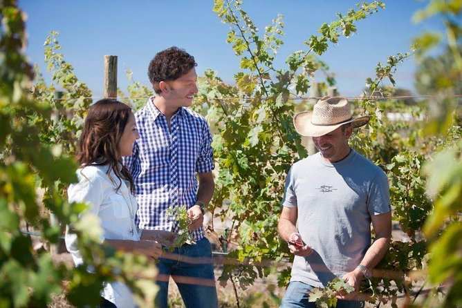 Wine Route tour starting from Querétaro - What to pack for a sun-and-tasting day (without overthinking it)