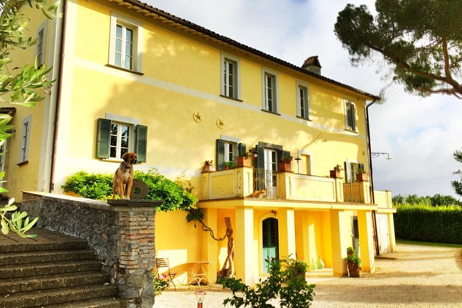 Winery tour and wine, cheese & charcuterie tasting - Madonna del Latte near Orvieto: a winery tour with real place and people