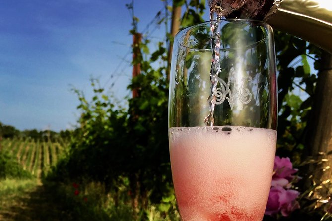Winery tour and wine, cheese & charcuterie tasting - The wine tasting setup: 4 wines with cheese and cold cuts