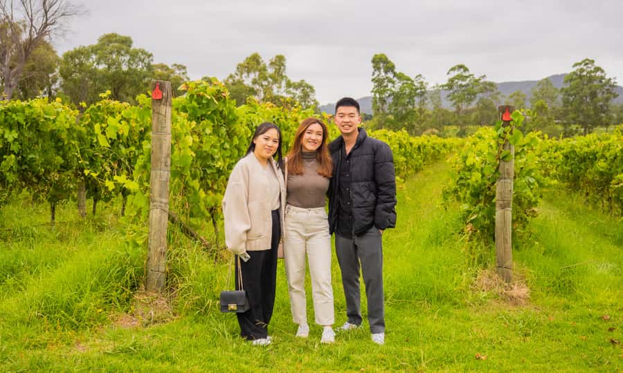 Yarra Valley Full Day Grazing Tour: Gin, Wine, Pizza, Cheese - What’s included for $133: where the real value shows up