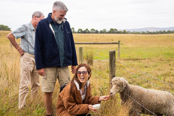 Yarra Valley Grazing Tour Wine, Cheese, Gin, Pizza from Melbourne - Price and value: why $135.56 can feel fair on a tastings day