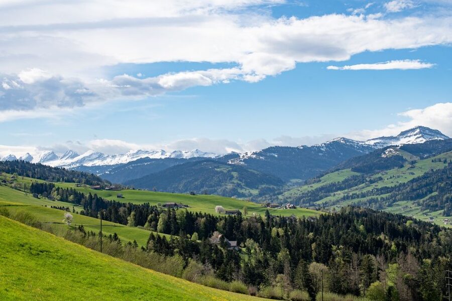 Zurich: Appenzell Day Trip with Farm Visit & Cheese Tasting - Small-group logistics and the role of the guide